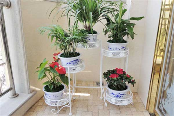 87671394012410_副本