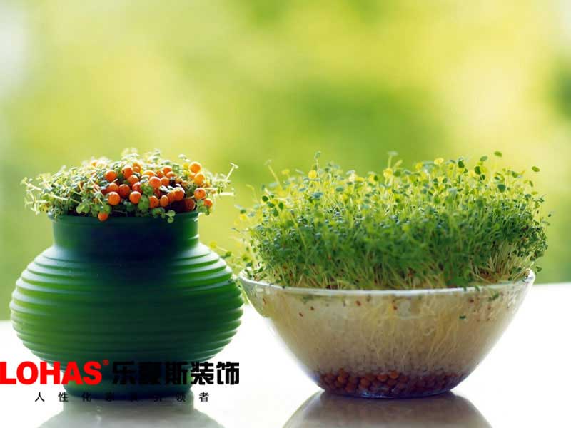 裝修效果圖 裝修效果圖