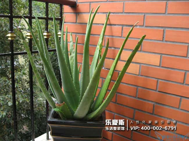 石家莊裝修效果圖