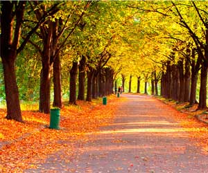 警惕秋季裝修“后遺癥” 否則問題就大了！