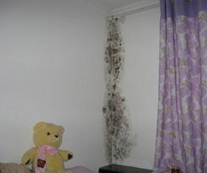 軟裝飾祛除霉菌技巧