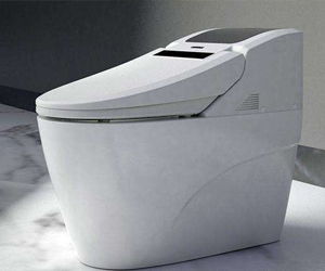 智能馬桶的選購(gòu)及保養(yǎng)知識(shí)