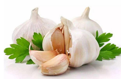 夏天吃什么蔬菜最好？