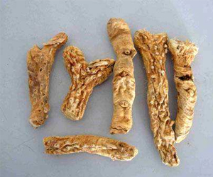 知母貴嗎？它是怎樣加工的呢？