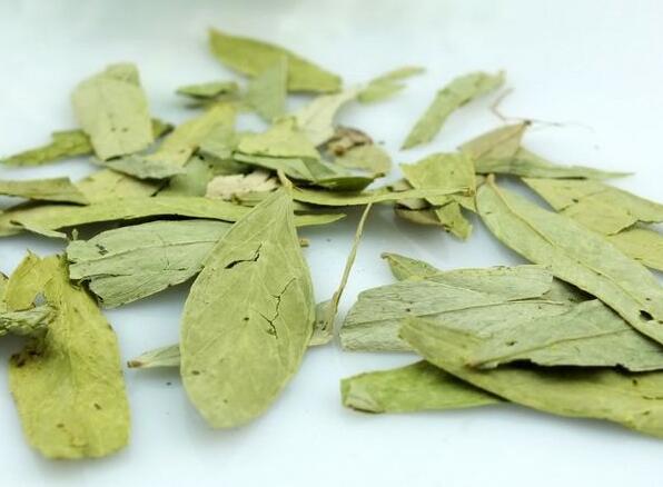 番瀉葉能不能減肥？