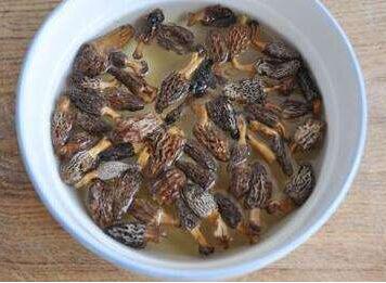 羊肚菌怎么泡呢？