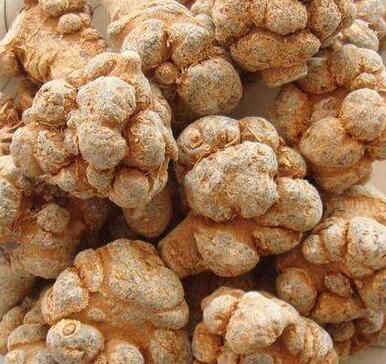 三七貴嗎？選購技巧是什么呢？